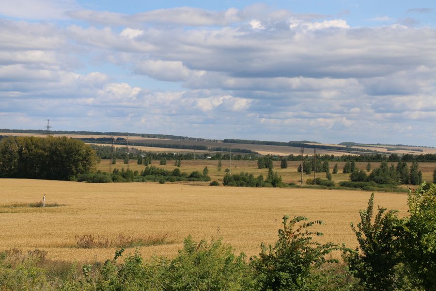 Пензенские ландшафты в окрестностях областного центра.