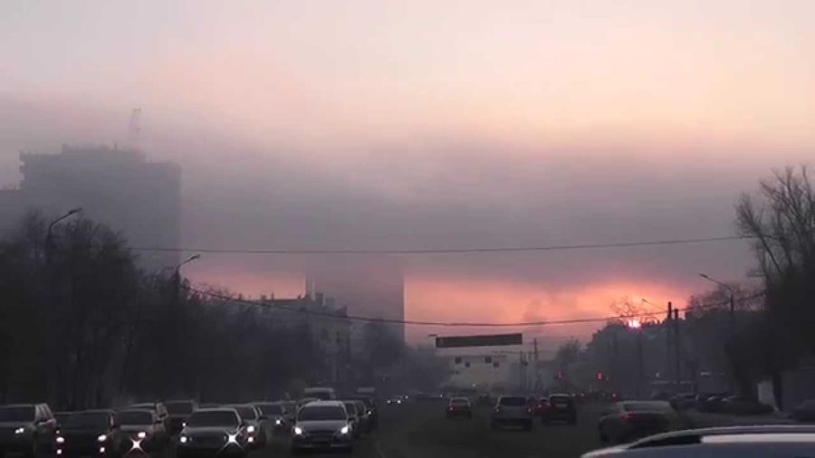 Жизнь в экологической помойке