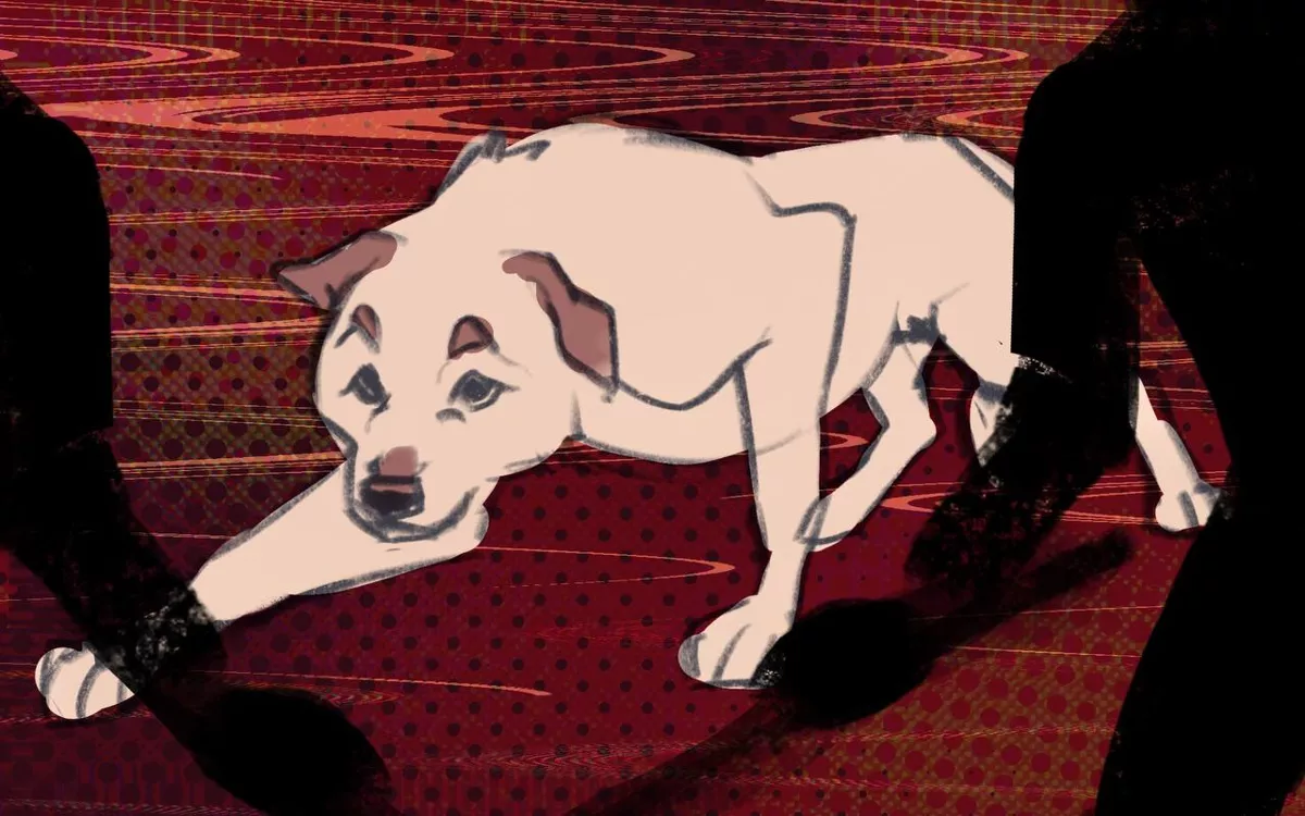 В августе 2023 года Госдума приняла поправки, которые позволяют регионам самим решать, как поступать с бездомными животными, в том числе убивать их / Иллюстрация: <a href="https://www.instagram.com/vicoon/">vicoon</a>