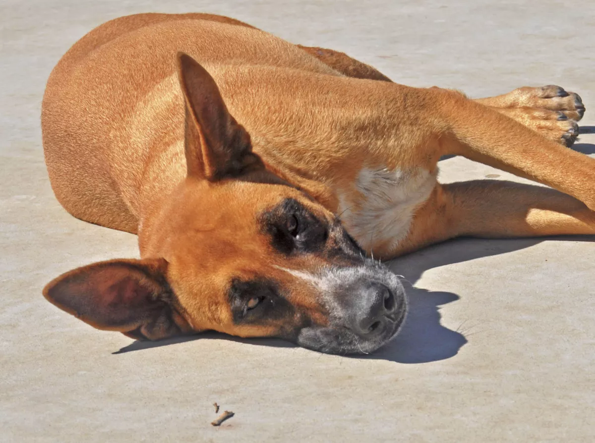 Луна и Ангел