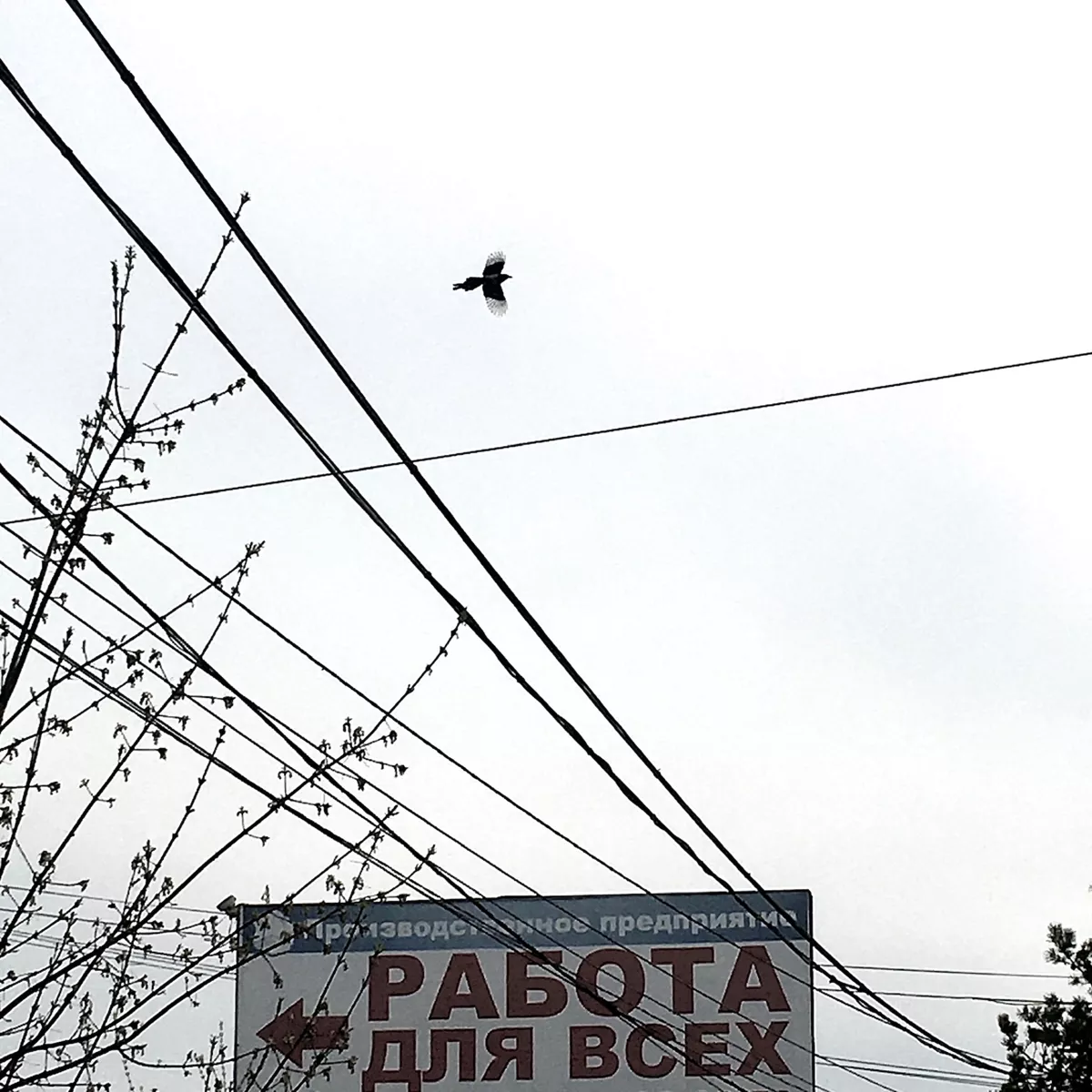 Работа для всех