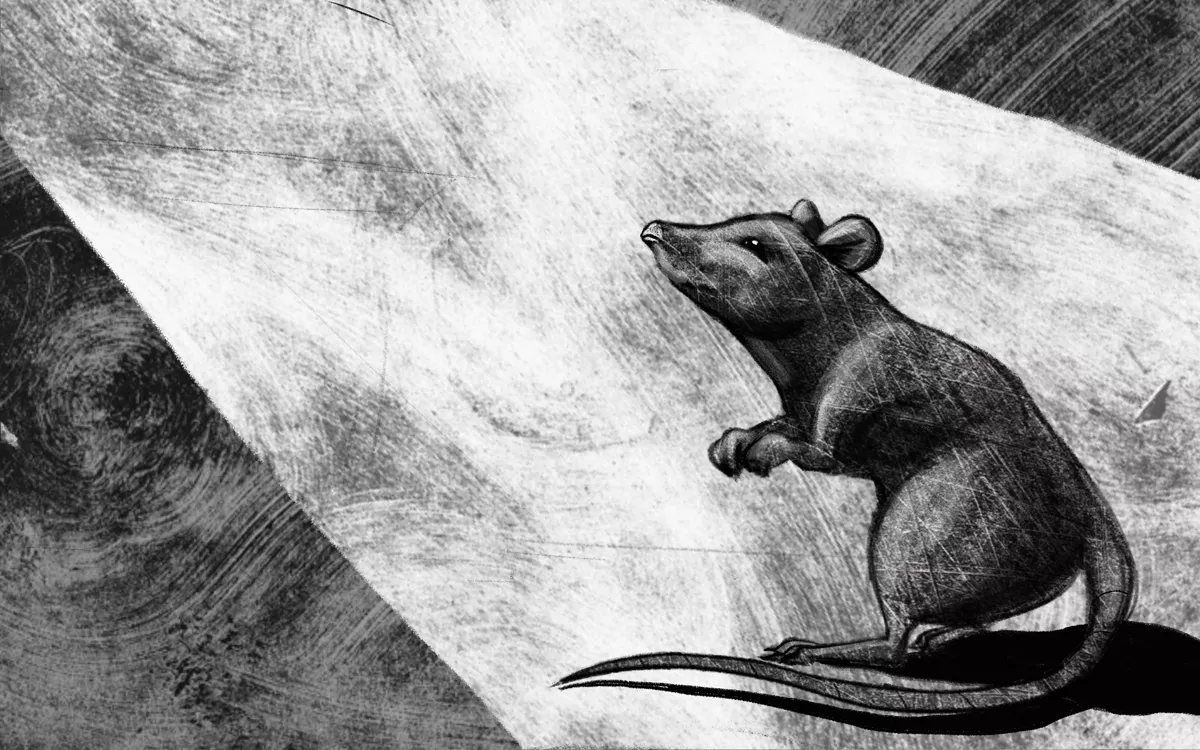 Крыса по фамилии Андрей Петрович