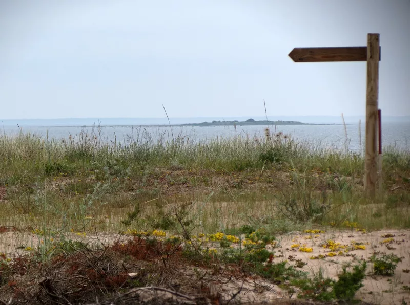 Сааремаа. Источник фото: https://varandej.livejournal.com/718941.html