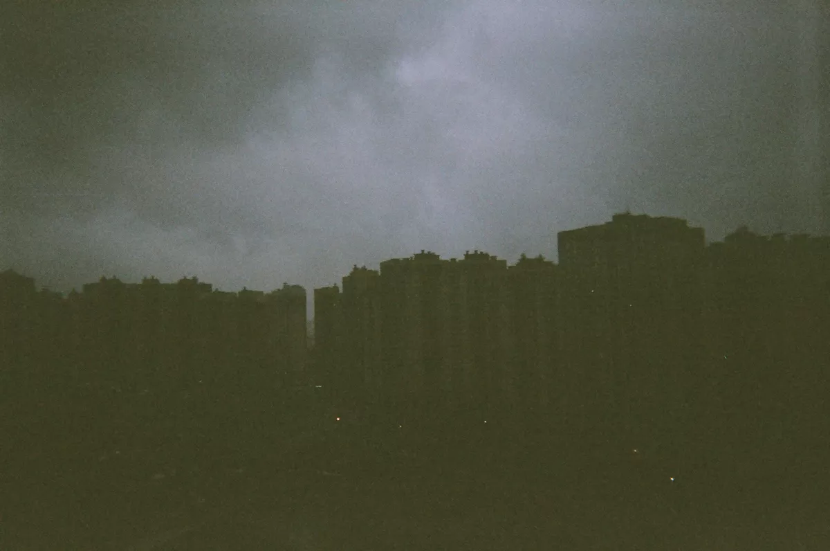 Муравейник