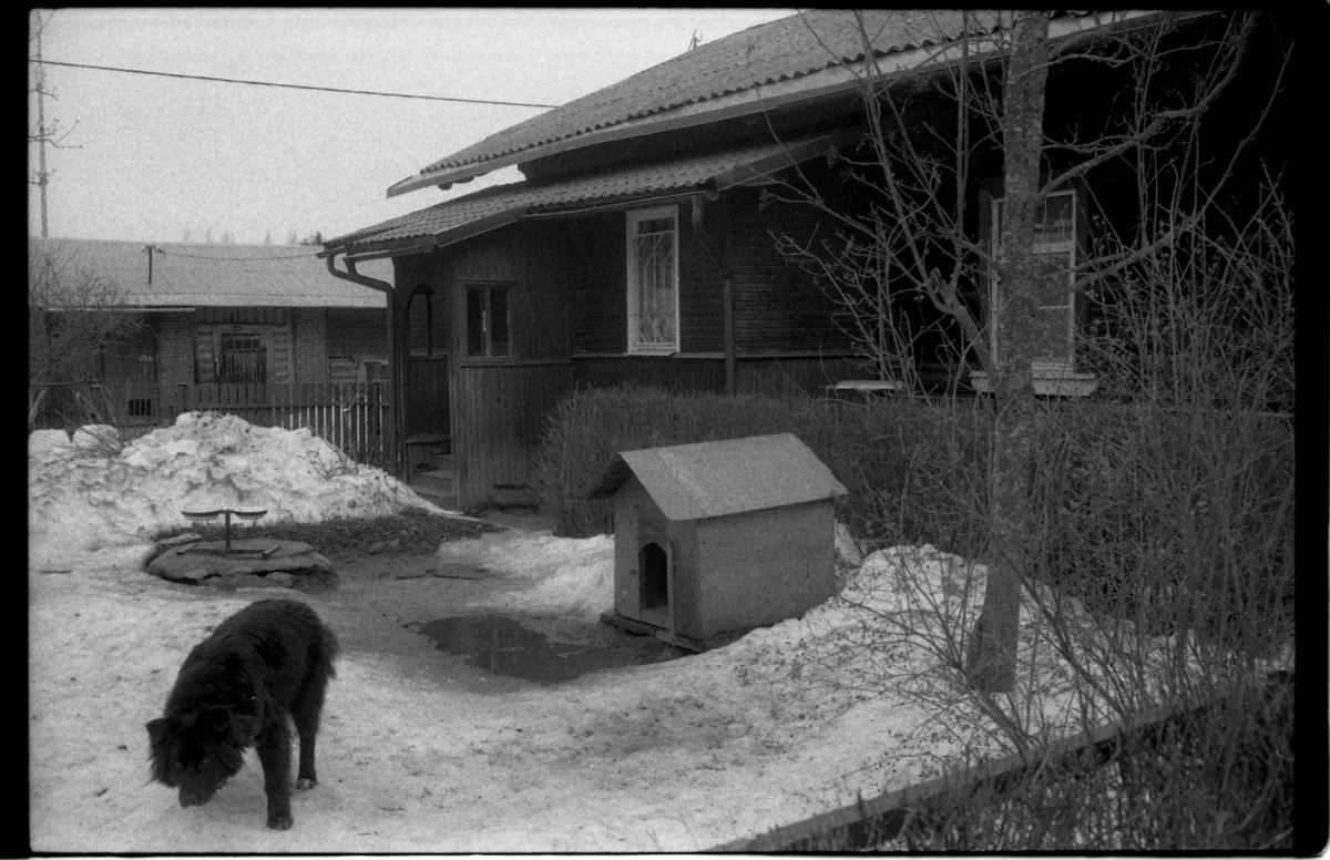 Автор фотографий — Михаил Алексеев