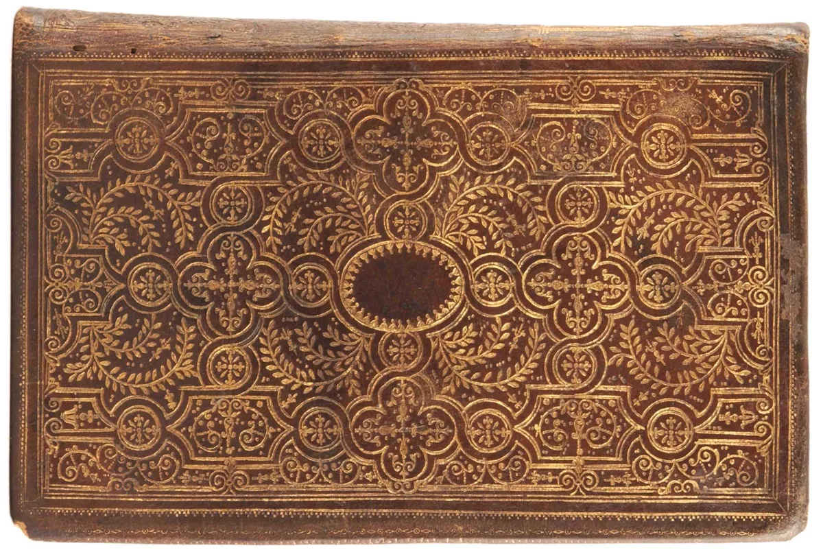 Книга Пакибытия, или Буревестник