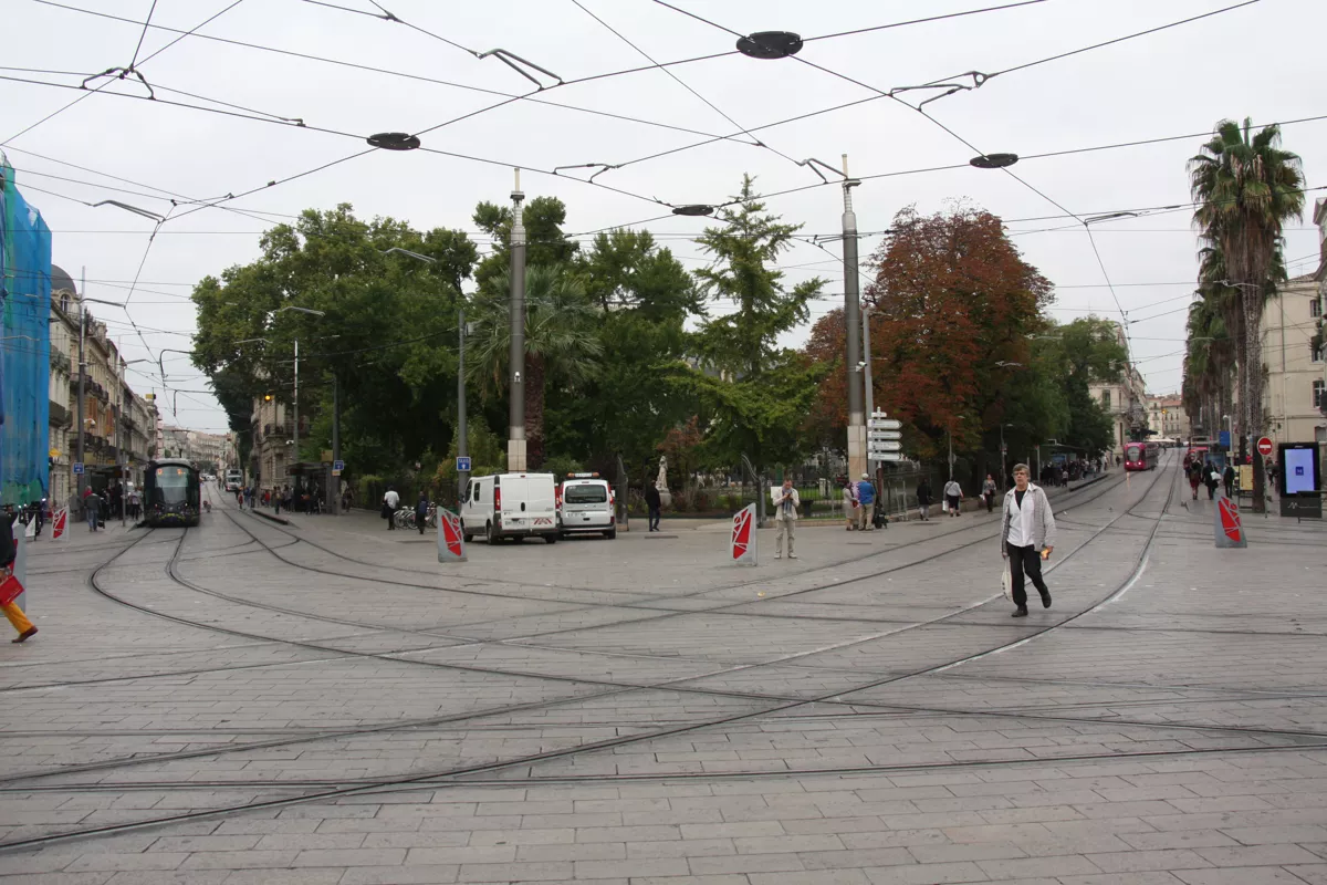 Трамвайный ренессанс