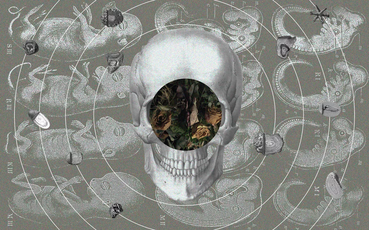 Заглавную иллюстрацию нарисовал <a href="https://www.behance.net/greymmm">Гриша Ямпольский</a>