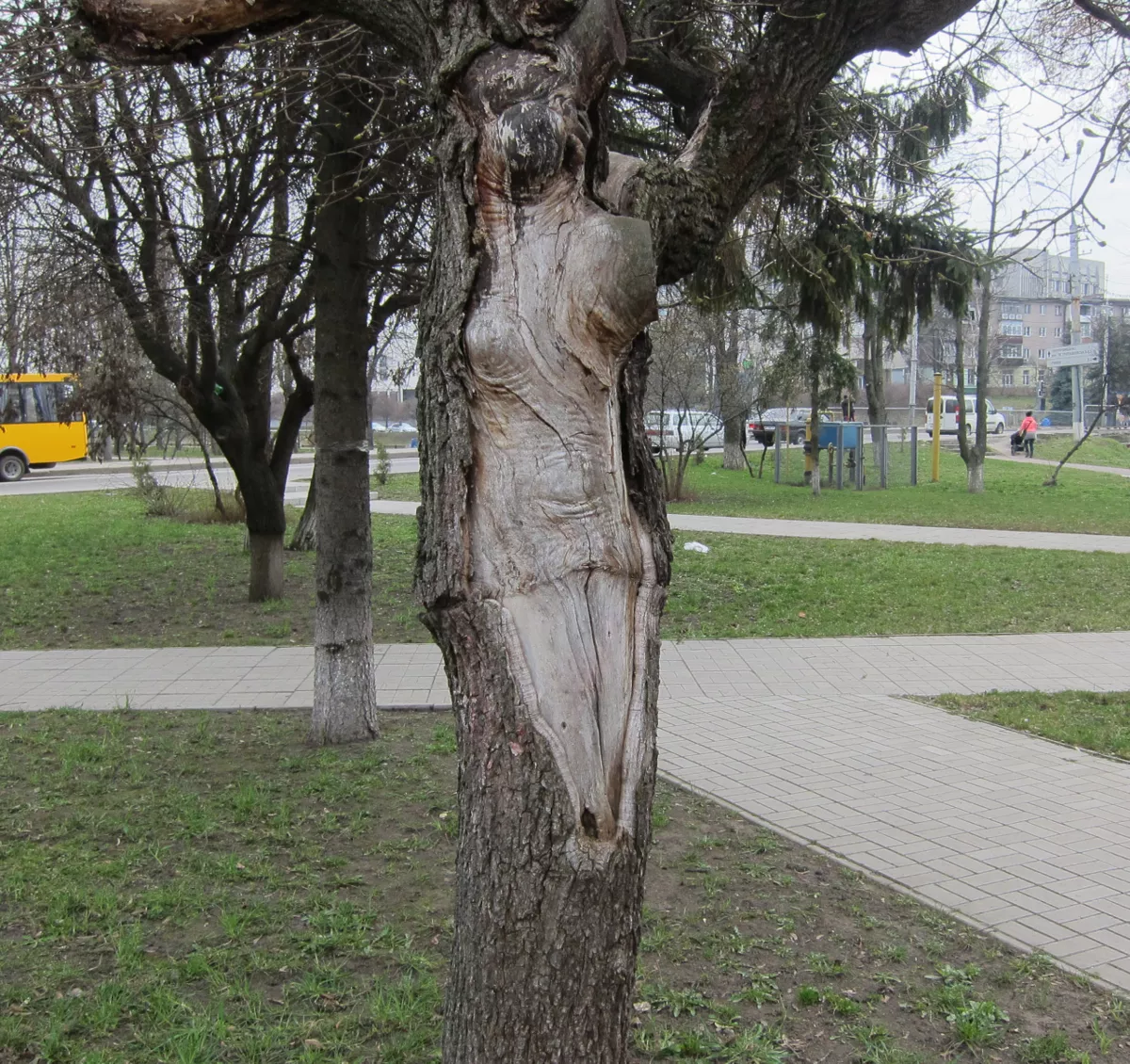 Провинциальные строфы