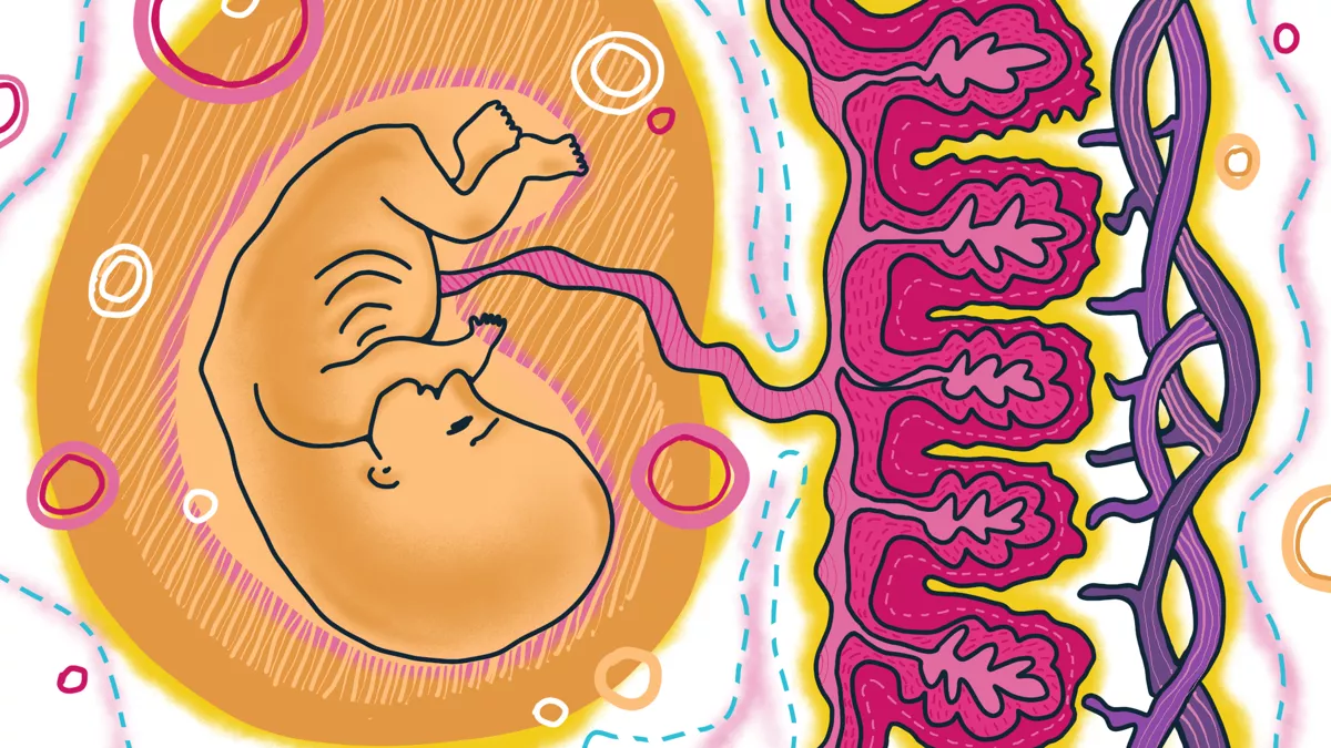 ЭКО — не прихоть, а зачастую вынужденная мера / Иллюстрации: <a href="https://instagram.com/katamari_illustration/" target="">Анна Катамари</a>