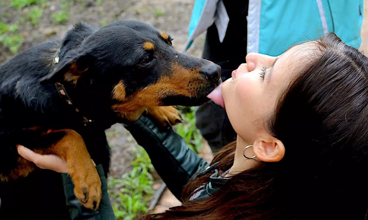 Волонтёр общественной зоозащитной организации «РусДог» Софья Шлёмина. Фотограф: Елизавета Простенко