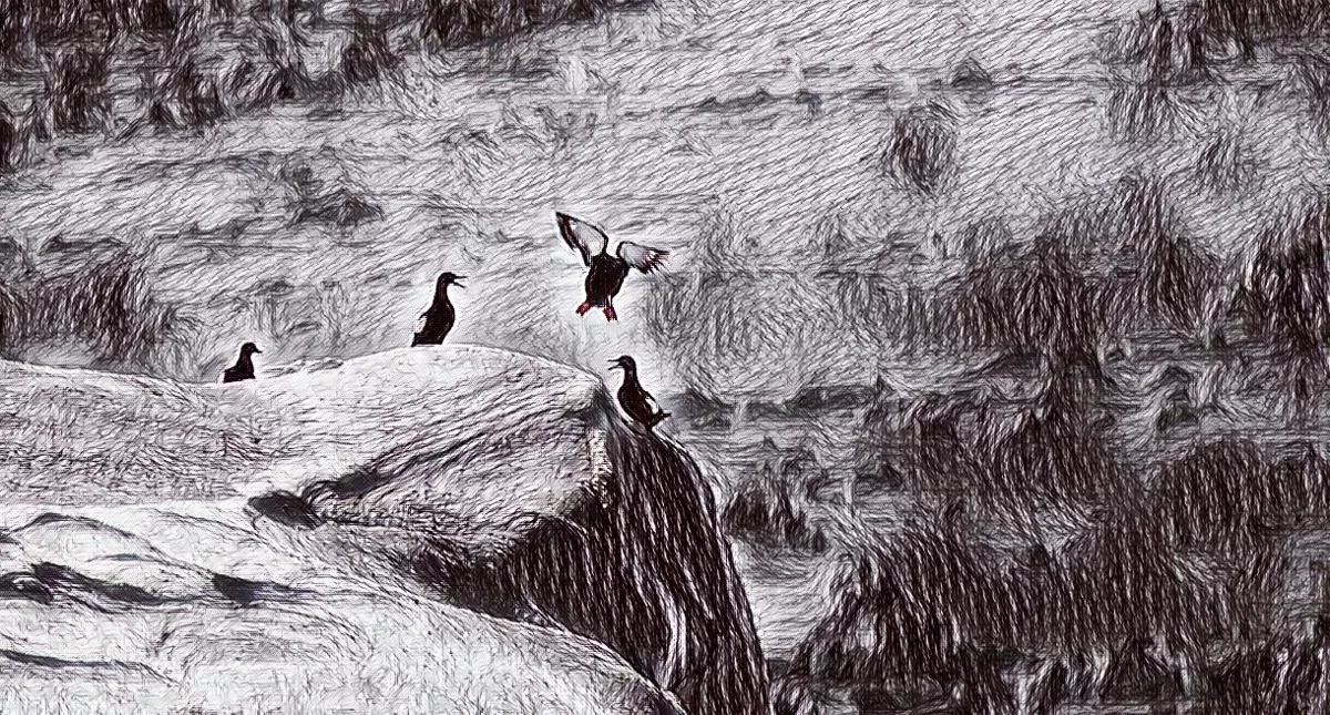 «Нельзя охранять то, чего не знаешь». Биолог Сергей Петров о повадках птиц, гражданской науке и эволюции беспозвоночных