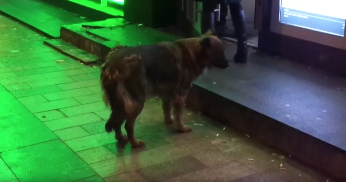 Предел #2 «Ах судьба моя судьба»