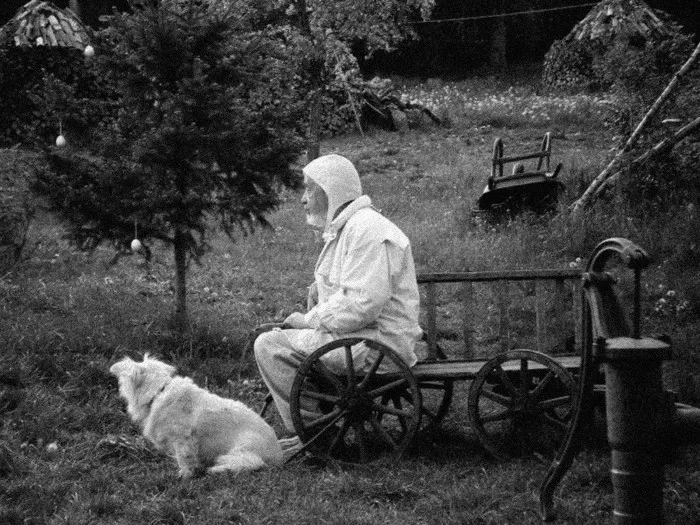 Поэт «сплошного чуда» в тени питерского андерграунда: этюд об Анри Волохонском