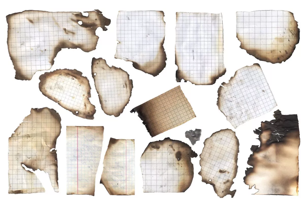 "Мы и они". Рассказ из "Первых цветов после скорби"