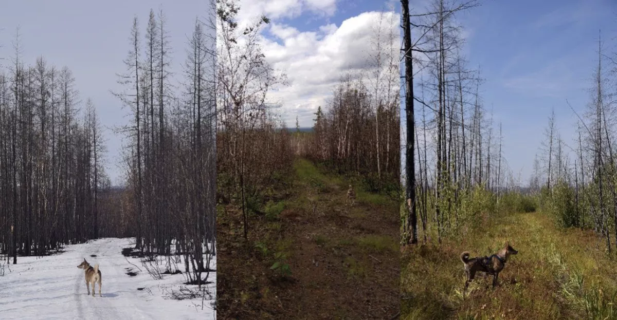 Фотография автора