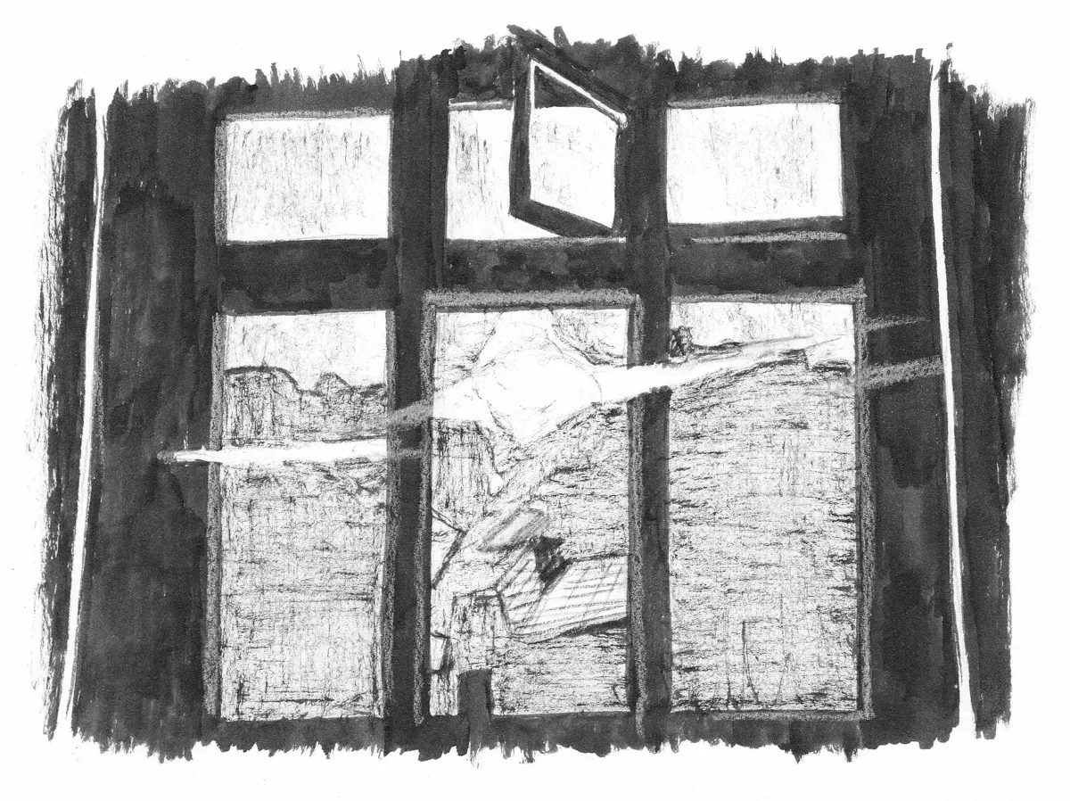 «Вид из окна коммуналки». В статье использованы иллюстрации к книге «Коммуналка на Петроградке» Анастасии Вепревой