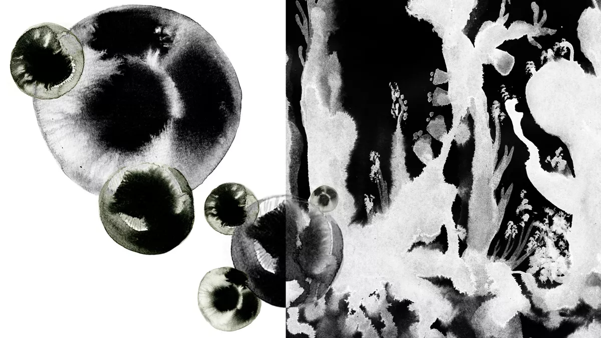 «Куда движется материализм?» Катрин Малабу о социальном отборе, неизвестной материалистической традиции и критике капитализма