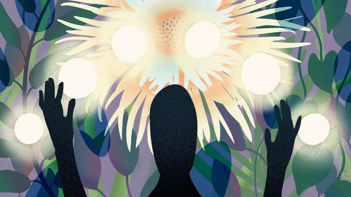 Как делать научно-популярный контент? Лекция антрополога о поиске первоисточников, научных мифах и фактчекинге