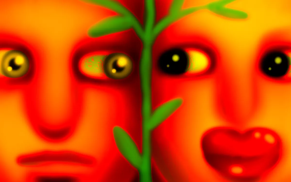 Мир сквозь призму гендера. Как сексуальная идентичность определяет культуру и к чему ведет отказ от бинарных систем