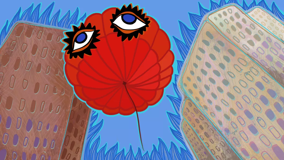 Иллюстрации: <a href="https://www.instagram.com/katamari_illustration/">Аня Катамари</a> / Дискурс