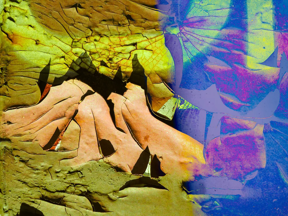 «Этнограф немного похож на Гермеса: он — посланник, который, используя методологии для выявления скрытого, латентного, бессознательного, может даже заполучить свое послание хитростью. Он представляет языки, культуры и общества во всей их непрозрачности, чуждости, бессмысленности; а затем, подобно магу, герменевту, самому Гермесу, он проясняет непрозрачное, делает чуждое знакомым и придает смысл бессмысленному. Он интерпретирует сообщение».