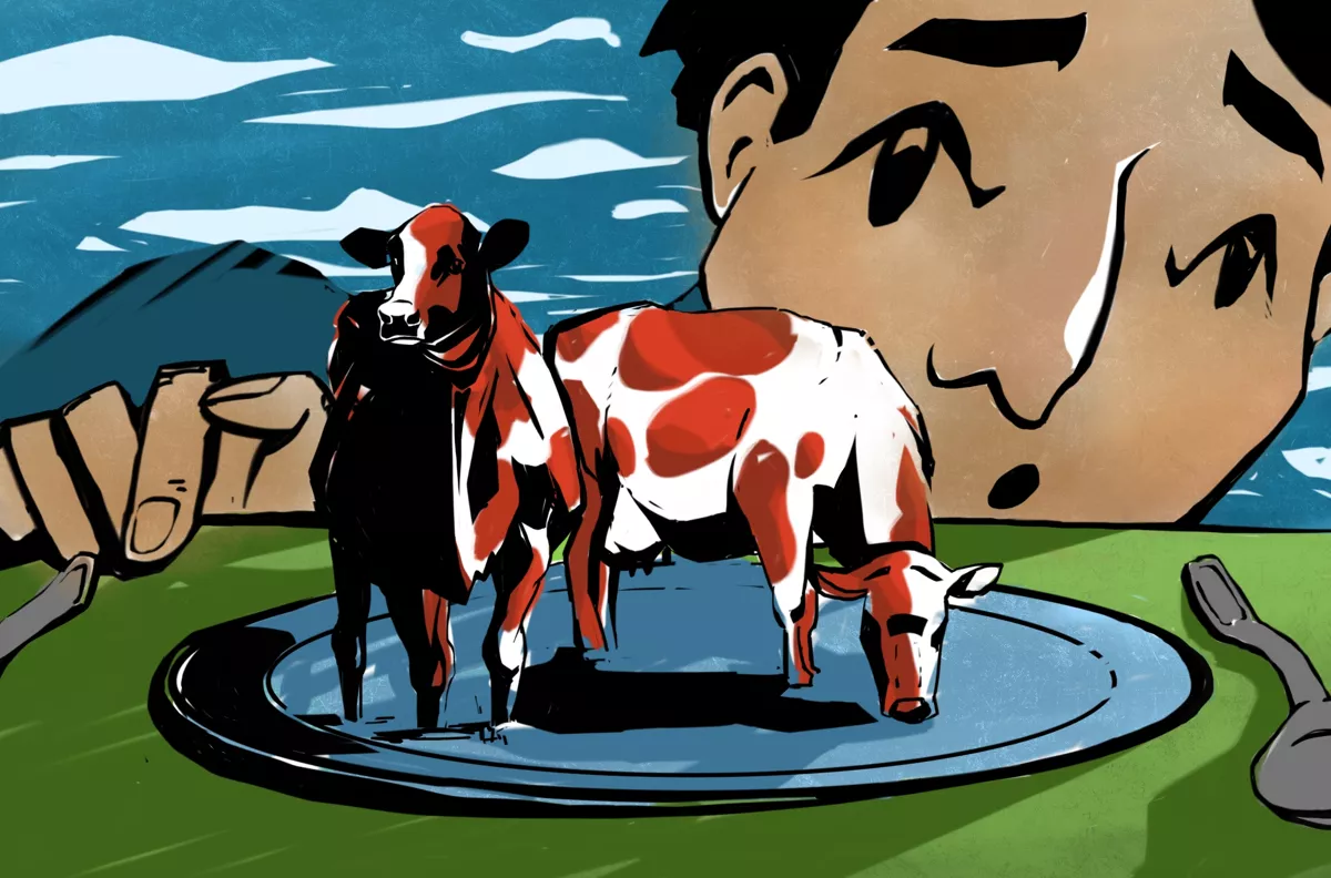 Иллюстрация: <a href="https://vk.com/holistic_party">Александра Отхозория</a> специально для «Дискурса»