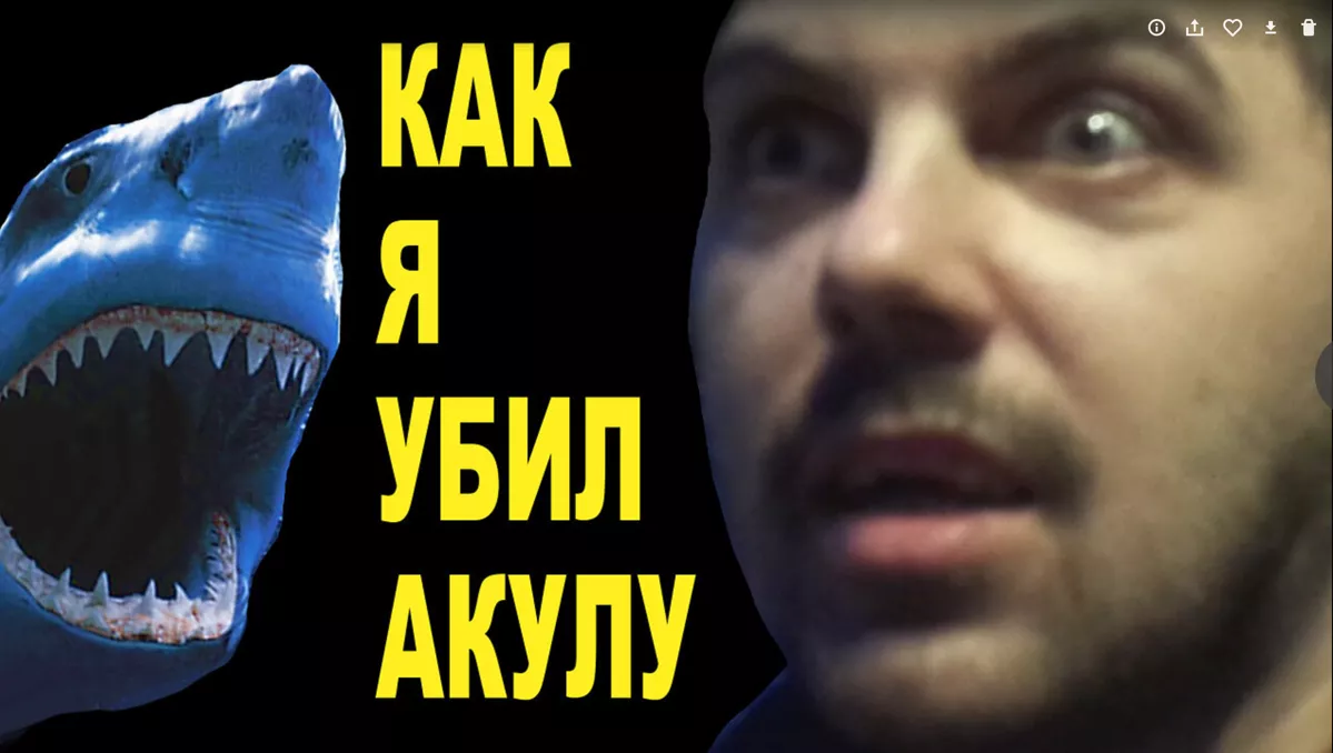 Зорька 1 / Как я убил акулу