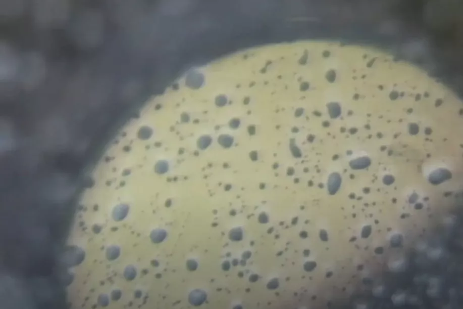 magnifying glass plus rain