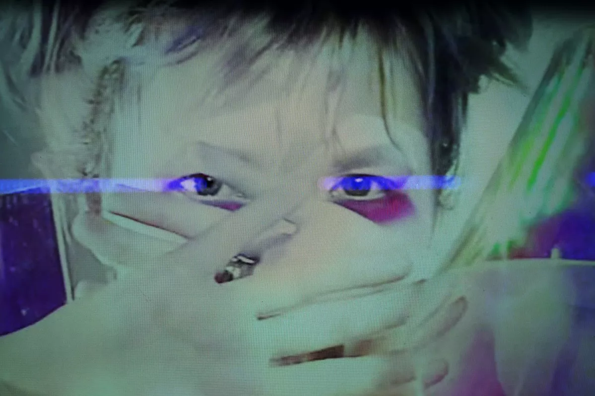 Фото: Maxim Whippet