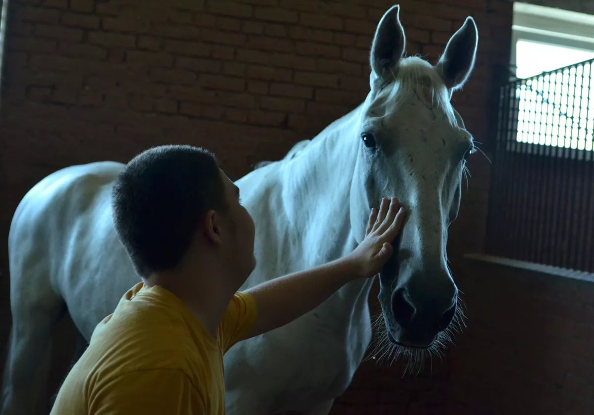 За пределами импульсов: иппотерапия