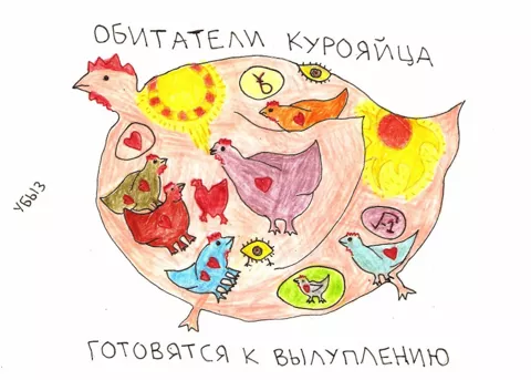 Куры, яйца и зерна