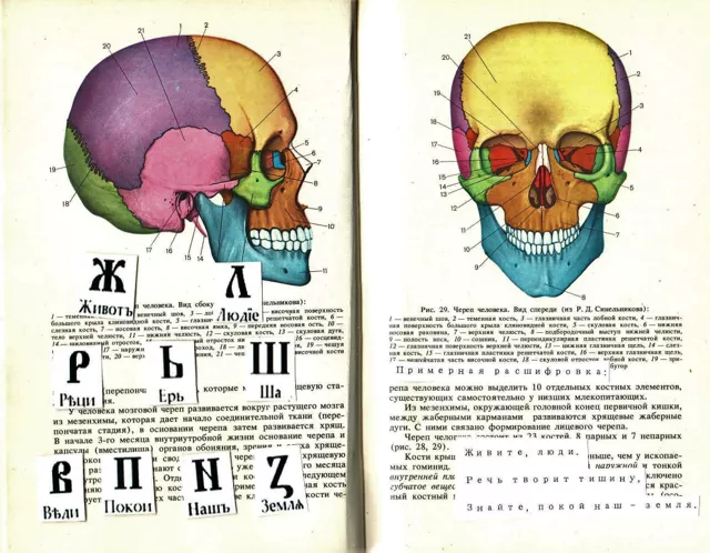 Хокку старославянских буквиц