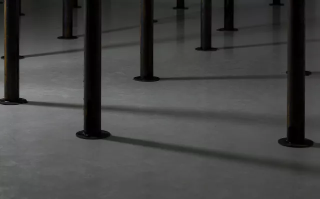 Спрятанное в лесу: эстетика темной экологии. Как вернуть подлинность ускользающим от взгляда вещам?