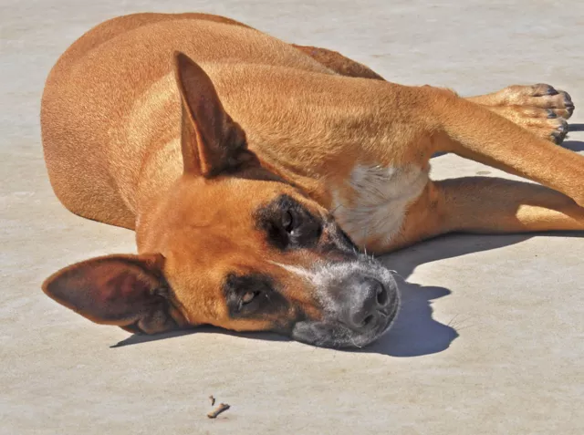 Луна и Ангел