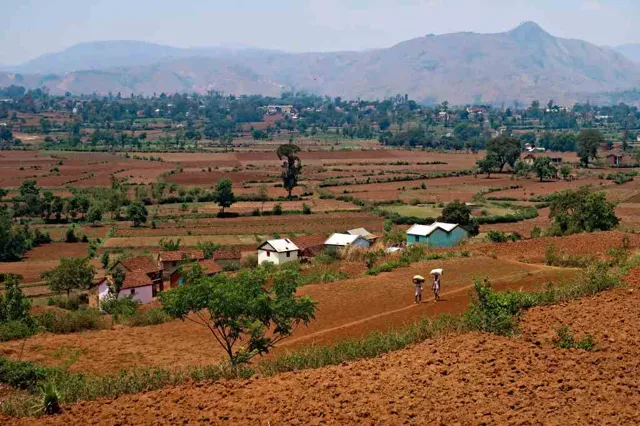 Молчание предков. Дэвид Гребер о невидимом кризисе, который чуть не уничтожил общину на Мадагаскаре