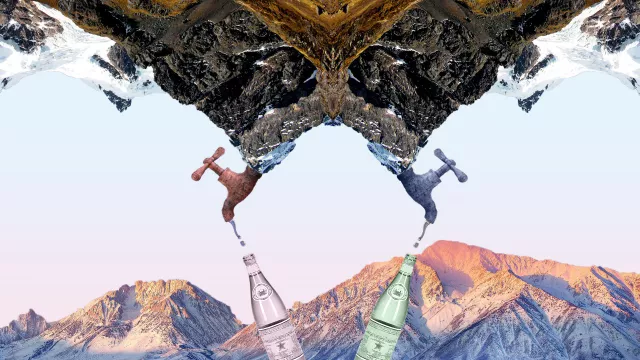 Дорого и опасно: почему вода премиум-класса хуже воды из масс-маркета