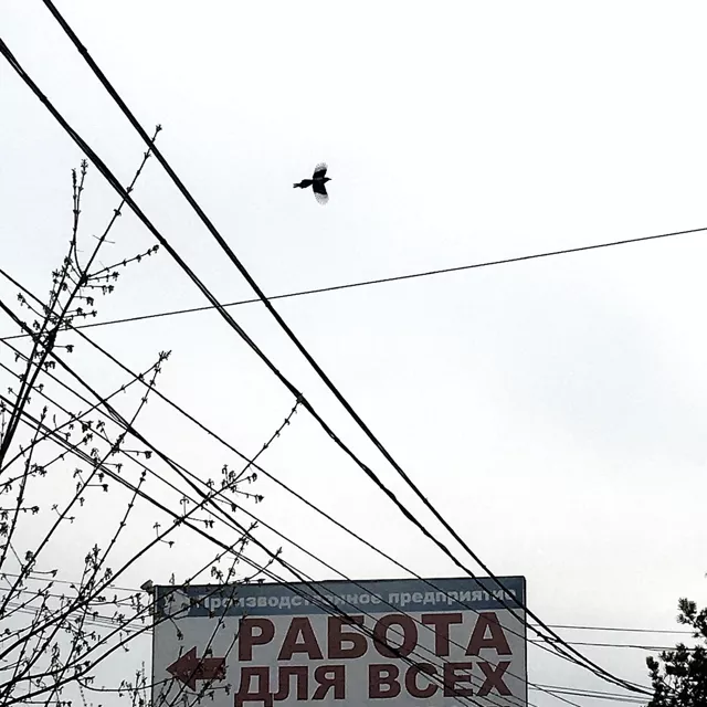 Работа для всех