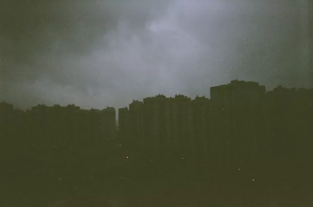 Муравейник