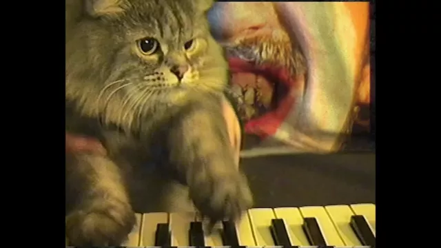 Ада — Пентуха