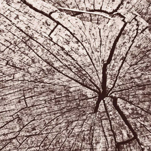 Р​а​з​в​е​т​в​л​е​н​и​е