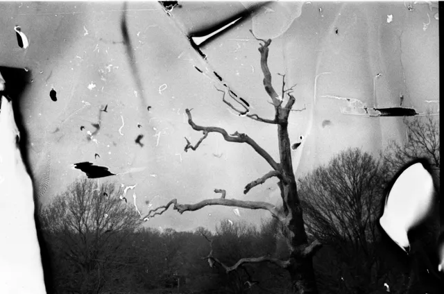 «Не забывай обо мне»: обманчивая природа памяти в преломлениях фотопленки