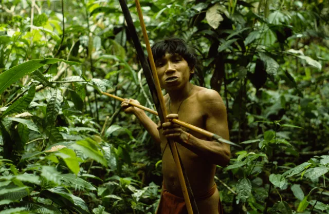 «Убей индейца — спаси человека». Как вестернизация влияет на жизнь амазонских индейцев яномамо