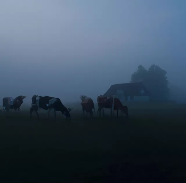 Осень в стиле ню