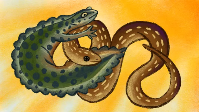 Как амфибии и рептилии приспосабливаются к глобальному потеплению? Адаптации видов на примере тритона и ужа