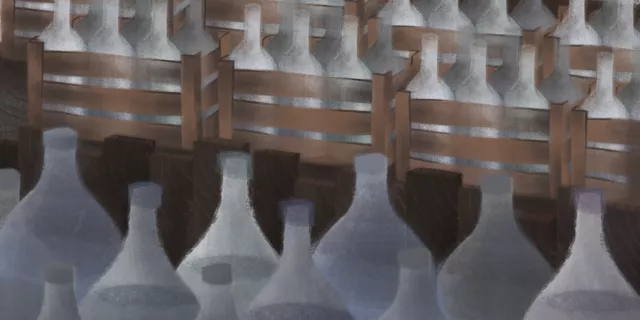 Законы мира: как регулируется продажа алкоголя в разных странах