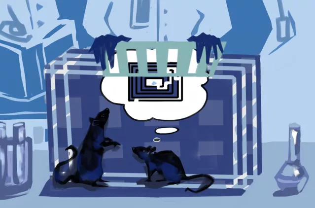 Память нечеловеческая: почему мы забываем?