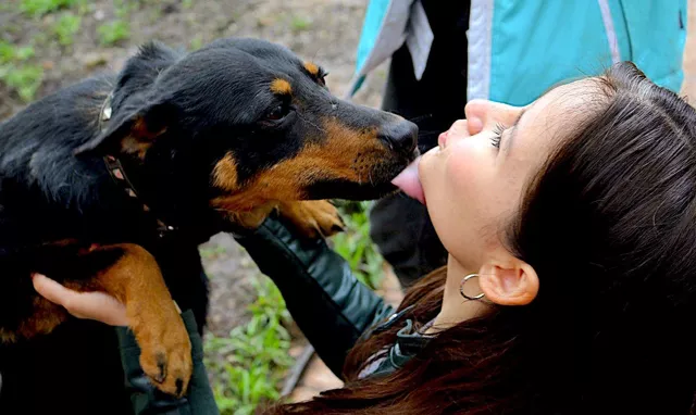 «Помогая животным, мы помогаем людям»: волонтёр рассказывает, как зоозащита спасает жизни