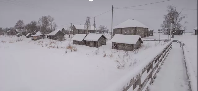 Командировка (из письма отцу)