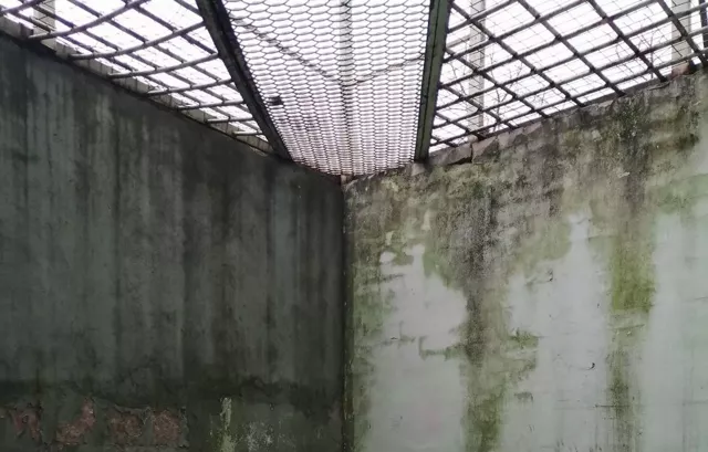 Как нас судили за то, что мы не любим вранье. История об аресте за антивоенный протест